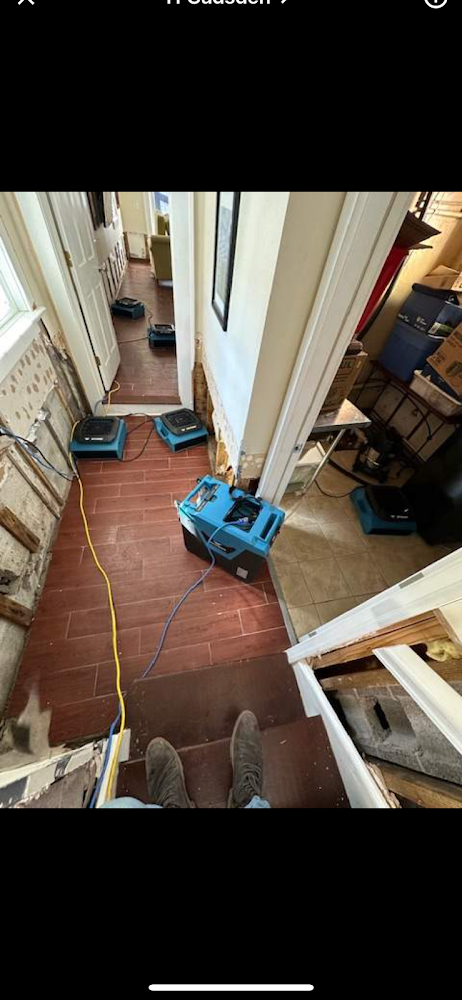 Peak Property Restoration