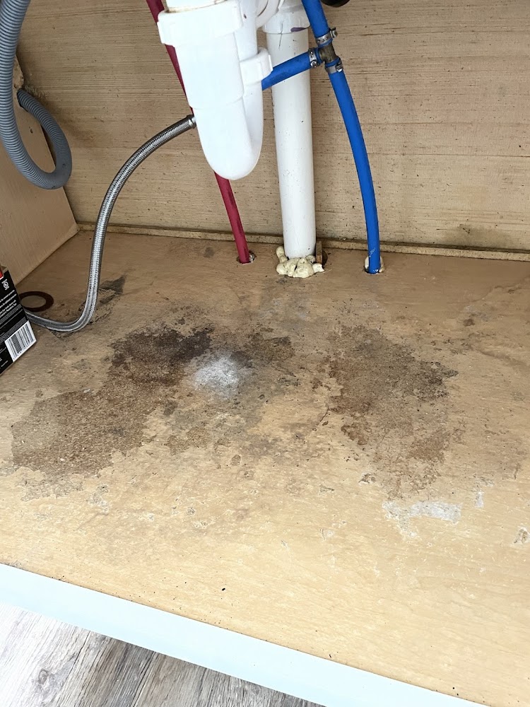 GLS Mold Testing Charleston Mt Pleasant Summerville