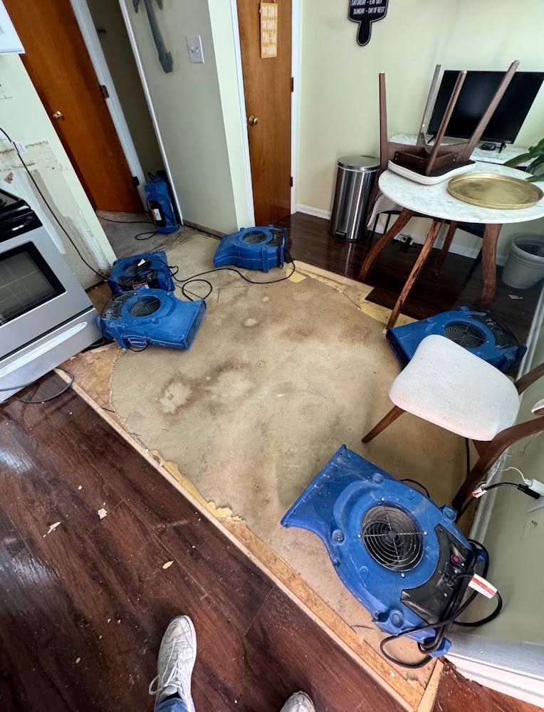 Lowcountry Remediation
