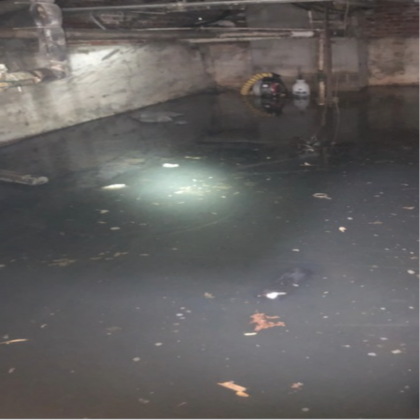 RKD Safety and Environmental [Industrial Hygienist, Mold Inspection, Air Quality]