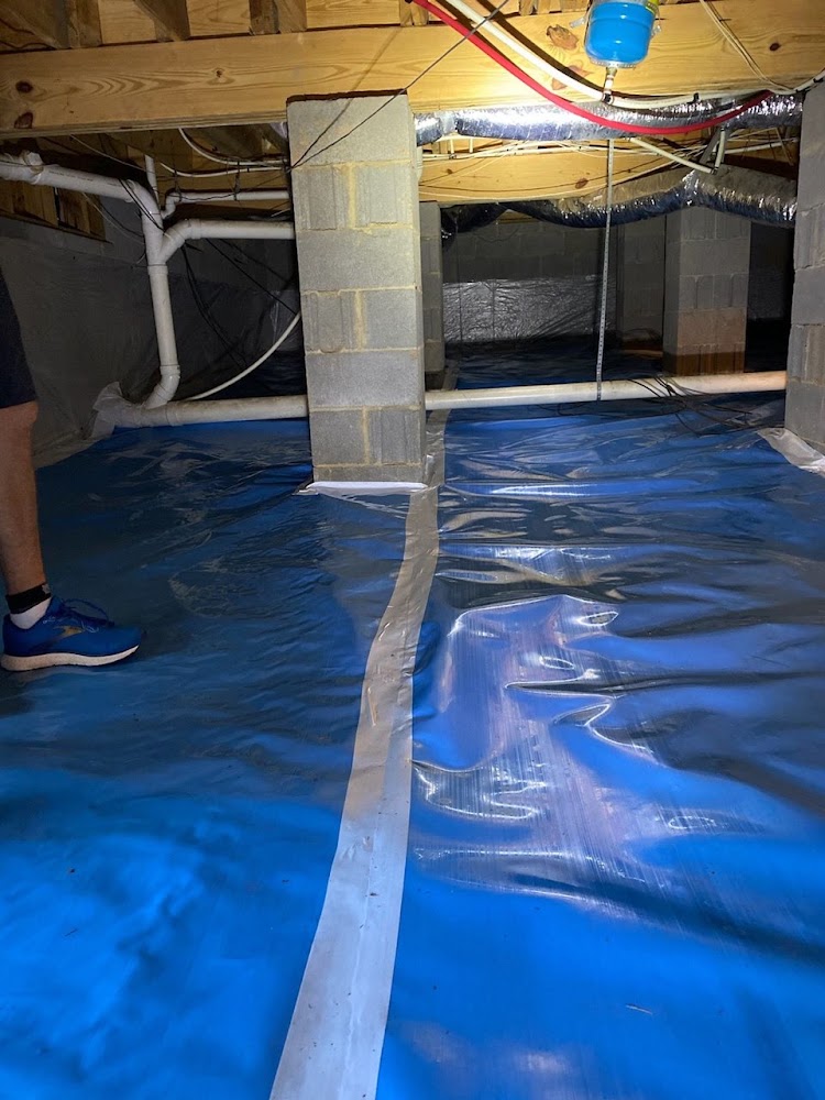 Carolina Mold Solutions LLC